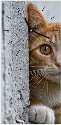 Produktbild von Wanduhr aus Glas mit Motiv Neugierige Katze- 30 x 60 cm - inkl. Aufhängesystem