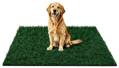 Image de Tapis absorbant pour l'urine des chiens, idéal pour une utilisation intérieure