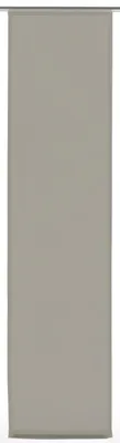 Paneelgordijn Basic, transparent, anthrazit, 60x245 cm