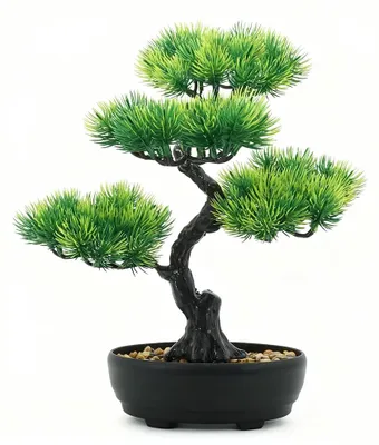 Kunstbonsai 34x28 cm, realistische Kunstpflanze für drinnen & draußen
