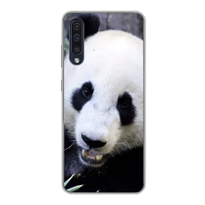 Produktbild von MuchoWow® Handyhülle Schutzhülle Hülle für Samsung Galaxy A30s Panda - Tier - Blätter Silikon Softcase Handy Hülle - Karteninhaber
