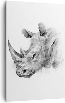 Produktbild von Bild auf Leinwand - Leinwandbild - Einteilig - Nashorn Porträt Grafik - 80x120cm - Wand Bild - Wanddeko - Wandbilder - Leinwanddruck - Wanddekoration - Leinwand bilder - Wandbild - PA80x120-4378