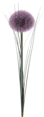 Produktbild von Kunstblumen Allium 66cm lila, 1 Stück