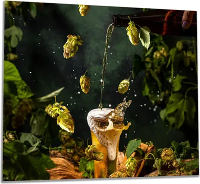 Produktbild von Wallario Herdabdeckplatte aus Glas, Größe 60 x 52 cm 1-teilig, Motiv Braukunst - Hopfenkaltschale