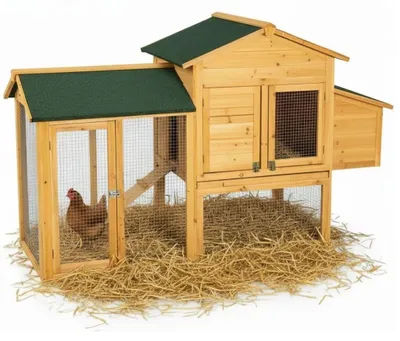 Immagine prodotto di Pollaio in legno con nido per 4-6 galline