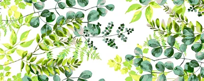 Produktbild von Baumwolle 100% Eukalyptusblätter grün auf weißem Hintergrund - 220cm