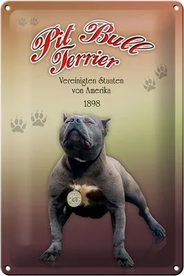 Produktbild von Blechschild Hund 20x30cm Pit Bull Terrier Amerika 1898