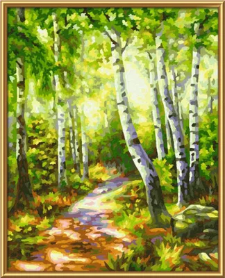 Image de Schipper Peinture par numéros - Forêt de bouleaux