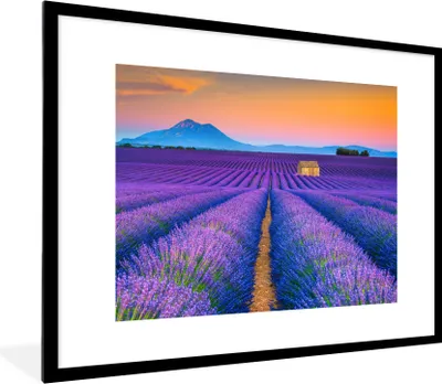 Produktbild von MuchoWow® Gerahmtes Poster Lavendel - Lila - Blumen 80x60 cm - Poster mit Schwarzem Bilderrahmen Wandposter Rahmen Foto Bilder - Schlafzimmer-Dekorationen - Fotoposter