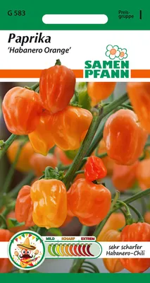 Artikelbild 1 von 'Chili Habanero Orange' aus der Kategorie Gemüsesamen