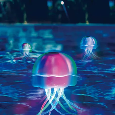 Produktbild von Trendline LED Poolbeleuchtung Qualle  14,2 cm x 28,5 cm