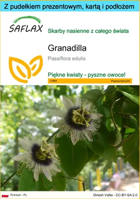 Zdjęcie produktu dla SAFLAX - Zestaw prezentowy - Granadilla - 40 Nasiona - Z pudełkiem upominkowym, etykietą wysyłkową, kartą podarunkową i podłożem uprawowym - Passiflora edulis