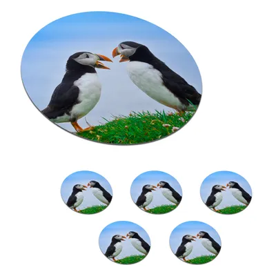 Obrázek produktu pro KitchenYeah® Skleněné podtácky Kulatá sada 6 Puffins - Grass - Blue 10x10 cm Podtácky na sklenice - Podtácky na nápoje - Chrániče stolů - Podtácky na šálky Stolní barové sklo