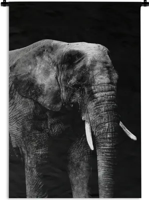 Produktbild von MuchoWow® Wandteppich Wandbehang Elefant vor schwarzem Hintergrund - schwarz und weiß 60x90 cm Tapisserie Dekoration Wandtuch - Foto-Teppich - Abwaschbar