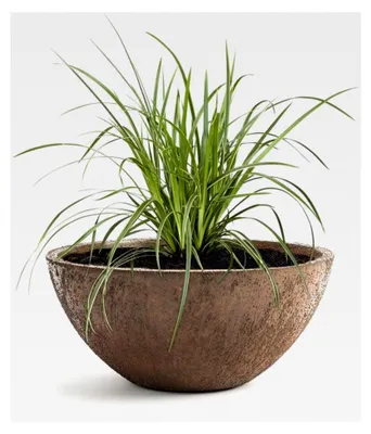 Produktbild von Pflanzkübel Pflanzschale Bowl Ø 28cm Rost - Frostbeständige Blumenschale - - Lotus-Effekt Imprägnierung