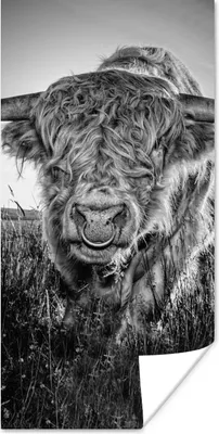 Produktbild von MuchoWow® Poster Schottischer Highlander - Schwarz und Weiß 60x120 cm - Wandschmuck