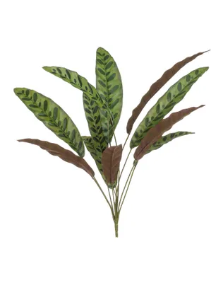 Produktbild von künstlicher Calathea Blätterzweig mit 11 Blättern grün burgund H. 70cm Emerald