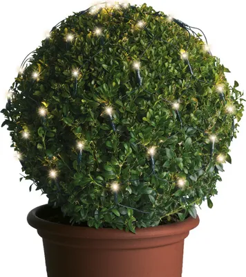 LED Lichternetz für Buchsbaum - Kugelnetz - 120 warmweiße LED - 24V Außentrafo - D: 80cm - grün