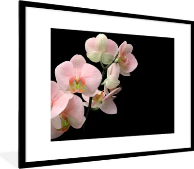Produktbild von MuchoWow® Gerahmtes Poster Orchidee - Blumen - Rosa - Stilleben - Flora 80x60 cm - Poster mit Schwarzem Bilderrahmen Wandposter Rahmen Foto Bilder - Schlafzimmer-Dekorationen - Fotoposter