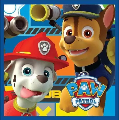 Produktbild von Paw Patrol Magisches Handtuch Gesichtstuch, Handtuch 30x30cm