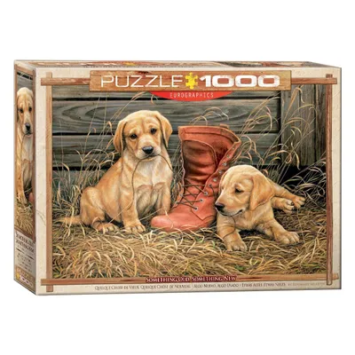 Image de EUROGRAPHICS Puzzle Chiots avec vieille chaussure 1000 pièces