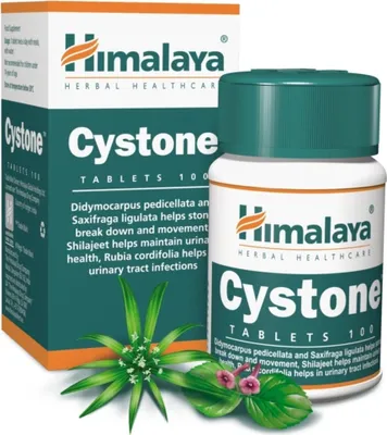 Productafbeelding van Himalaya Cystone 100 BI5657-tabletten