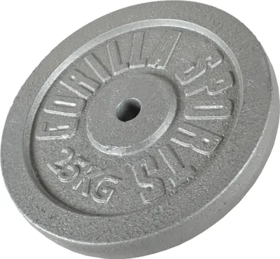 Produktbild von GORILLA SPORTS® Hantelscheiben - 25 kg Gewichte, 30/31 mm, Gusseisen, Silber - Gewichtsscheiben, Bumper Plates