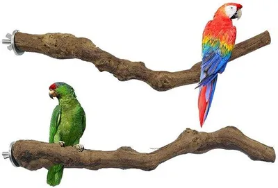 Productafbeelding van Ibenzoa® zitstangen voor vogels – 8 stuks, gemaakt van echt wijnrankhout, natuurlijke zit- en klimmogelijkheden, totale lengte 2330 cm, diameter 23 cm