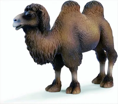 Image de Schleich 14348 - Wild Life, Piétineur