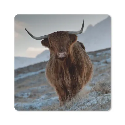 Produktbild von MuchoWow® Mauspad Mousepad Schottischer Hochländer - Landschaft - Schottland 20x20 cm - Mousepads - Maus Mat - Pad - Mausunterlage - Desk Mat - Bureauartikeln
