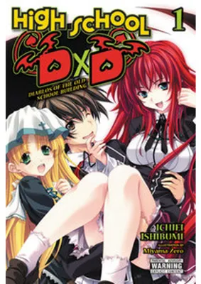 Imagen del producto de High School DxD, Vol. 1 (light novel)
