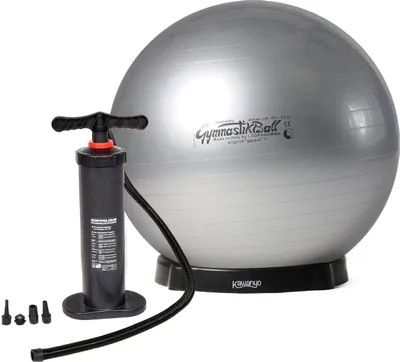 Image de Original Pezziball STANDARD avec pompe. Pompe sur pied et bol - argent
