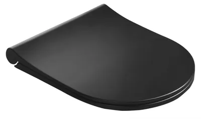 Immagine prodotto di Sedili Sapho - Sedile per WC Avva Slim, Soft Close, nero opaco 100787-110