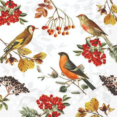 Produktbild von Herbst Servietten Cocktail 25x25 cm 3-lagig 20 Servietten Autumn birds Vogelarten Vögel