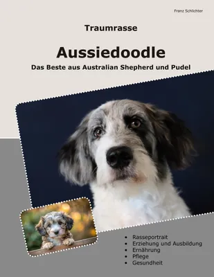 Produktbild von Traumrasse Aussiedoodle