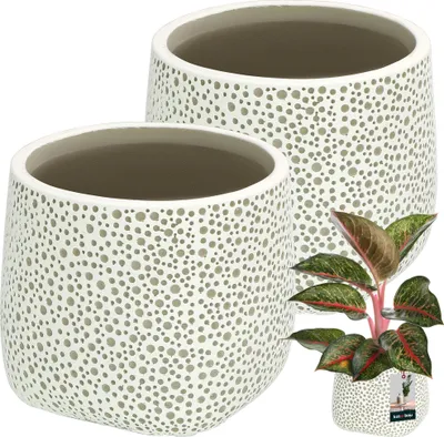 Obrázok produktu pre KOTARBAU® Kvetináč keramický neglazovaný matný povrch sivý cibuľovitý ⌀ 12,5 cm | V 12,5 cm 2 ks kvetináče kvetináče kvetináče pre izbové rastliny keramický kvetináč veľký keramický kvetináč moderný