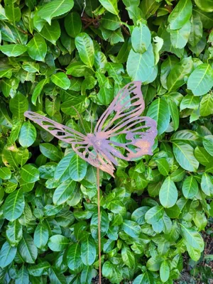 Produktbild von Edelrost Schmetterling Josi, am Wackelstab