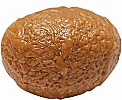 Produktbild von Quantum Radical Kunsttigernuss caramel 5 Stück