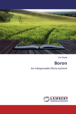 Produktbild von Boron