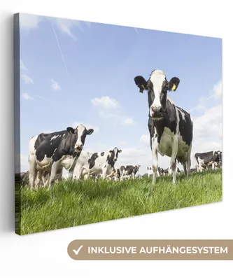 Produktbild von MuchoWow® - Leinwandbilder - Kühe - Gras - Tiere - Sonne - Bauernhof, Wandbild, Wanddeko Bilder Wohnzimmer, 80x60 cm