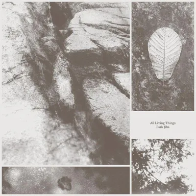 Produktbild von Park Jiha: Park Jiha: All Living Things - Glitterbeat Records - (LP / A)
