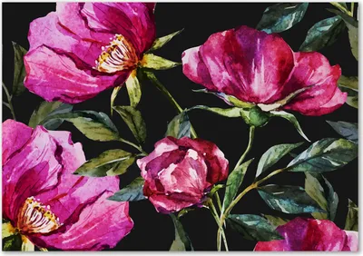 Produktbild von Tulup® Glas-Bild - 100 x 70 - Wandbild aus Glas - Wandkunst - Wandbild hinter gehärtetem Sicherheitsglas - Blumen & Pflanzen - Rosa Pfingstrosen - Rosa