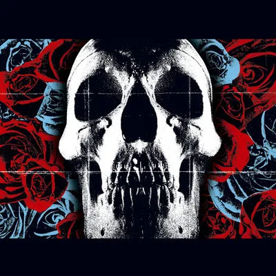 Imagen del producto de Deftones