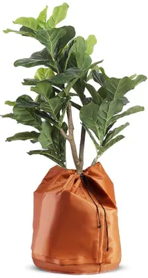 Image de Housse de protection hivernale pour plantes, protection contre le gel, 65 x 70 cm, 1 pièce, tapis en fibre de coco