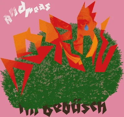 Obrázok produktu pre Andreas Dorau: Andreas Dorau: Im Gebüsch (Limited Edition) - (CD / I)