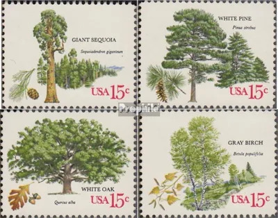 Produktbild von Briefmarken USA 1978 Mi 1364-1367 (kompl.Ausg.) FDC Bäume - Amerikanischer Försterverband
