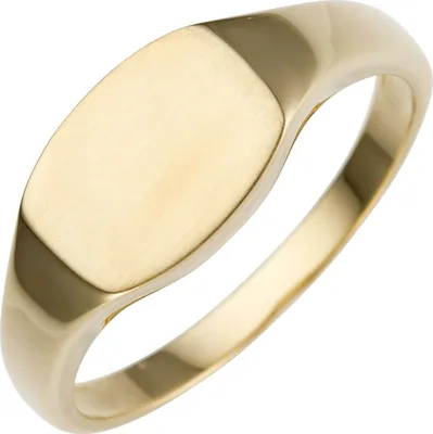 Produktbild von Ring aus 585 Gold Gelbgold flach teilmattiert Goldring Fingerring Uni Innenumfang 50mm  Ø15.9mm