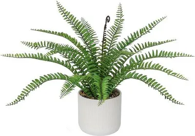 Produktbild von Unyqoos® Realistischer Kunstfarn in matt-frostgrauer Keramikvase, grün, 20 cm, PE mit Kieselerde – pflegeleicht & farbecht für Wohnraum