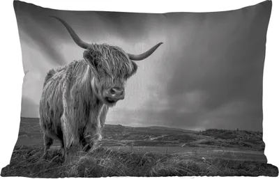 Produktbild von MuchoWow® Outdoor Kissen - Kühe - Schottische Hochlandkühe - Natur - Tiere - Schwarz und weiß - 60x40 cm - Wetterfest - Lounge Kissen - Zierkissen - Kissen für Innenräume