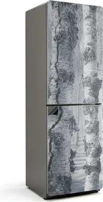 Produktbild von Nebliger Birkenwald – Magnetische Kühlschrank Abdeckung – Dekorfolie magnetisch Küche – Kühlschrank Magnet Deko – selbstklebende Magnettafel – Magnetfolie für Kühlschranktür – 60x190 cm
